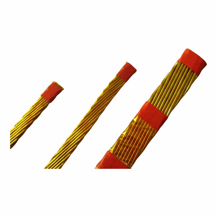 Continuously Transposed Conductors